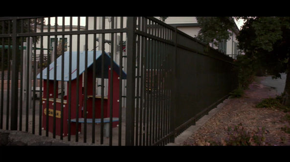 MVFF - Assistant Editor